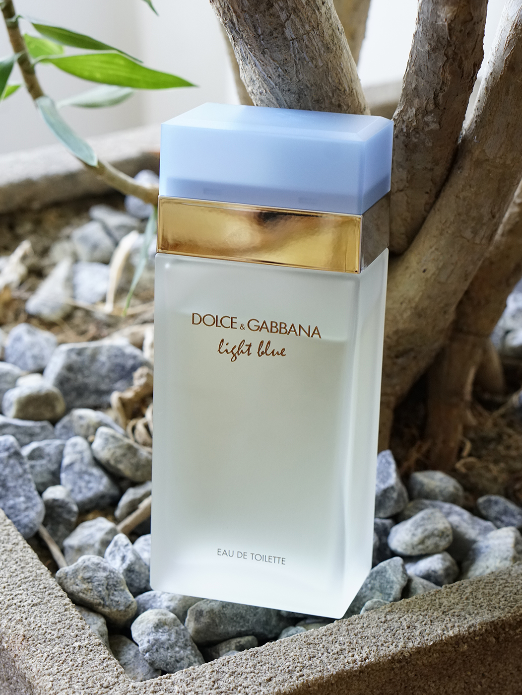 Dolce & Gabbana Light Blue